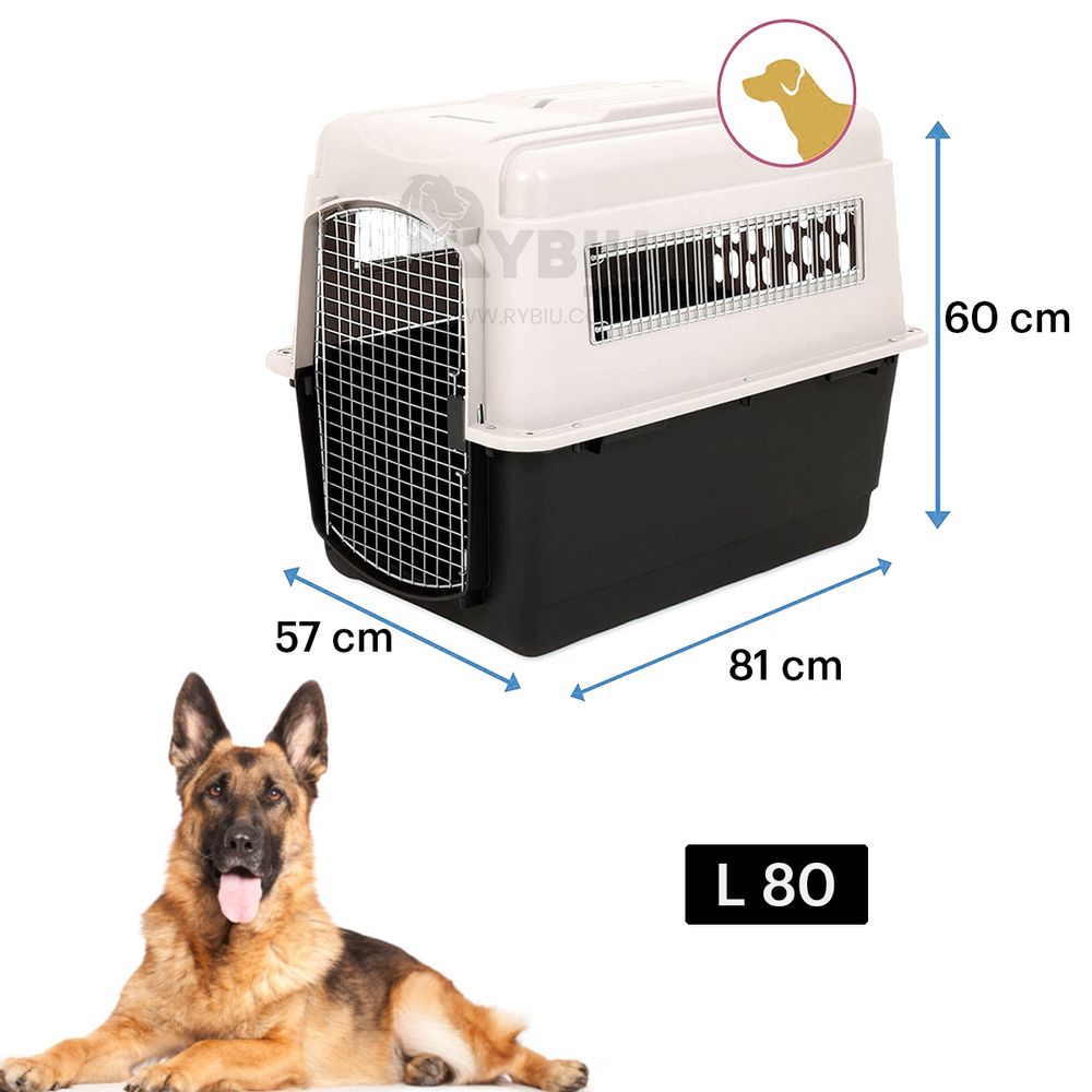 imageUrl_2 imageUrl_2