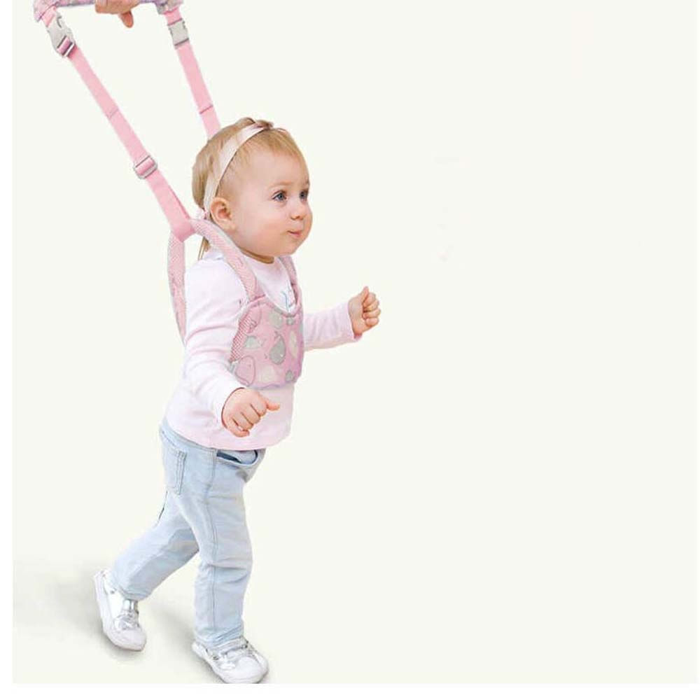 imageUrl_2 imageUrl_2