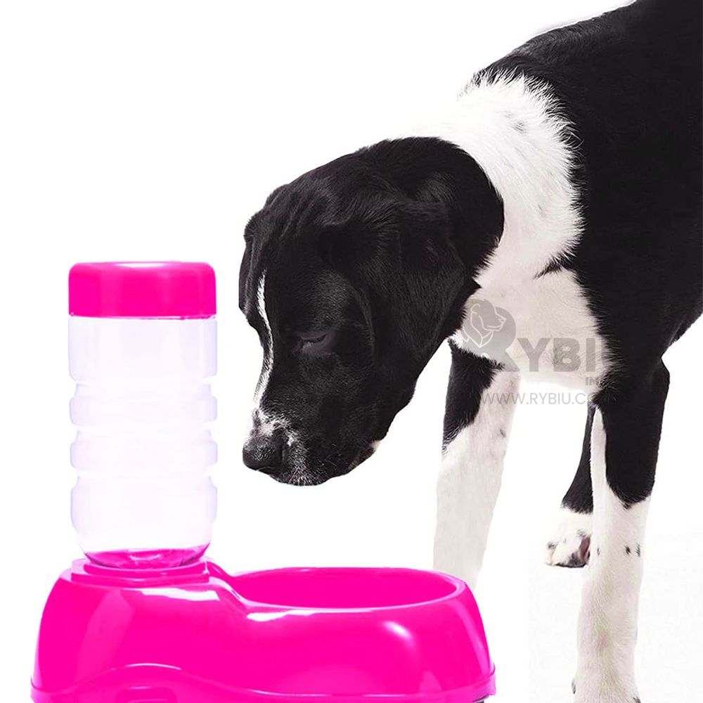 imageUrl_2 imageUrl_2