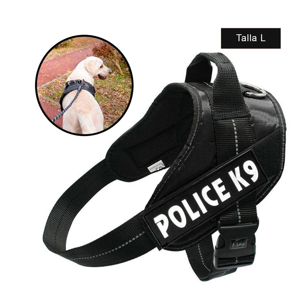 imageUrl_2 imageUrl_2