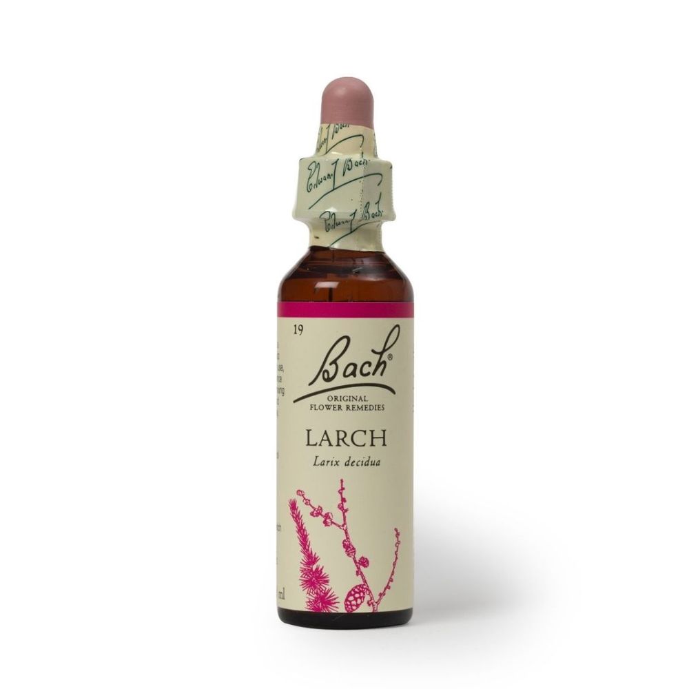 Esencia de Flores de Bach Larch 20ml para las Personas con Complejo de Inferioridad.