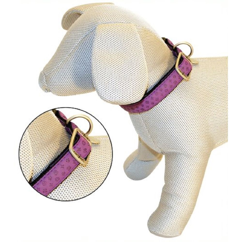 imageUrl_1 imageUrl_1