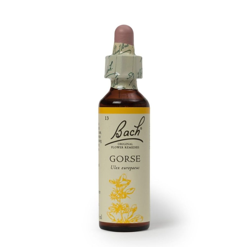 Esencia de Flores de Bach Gorse 20ml  para los que Han Perdido la Esperanza.