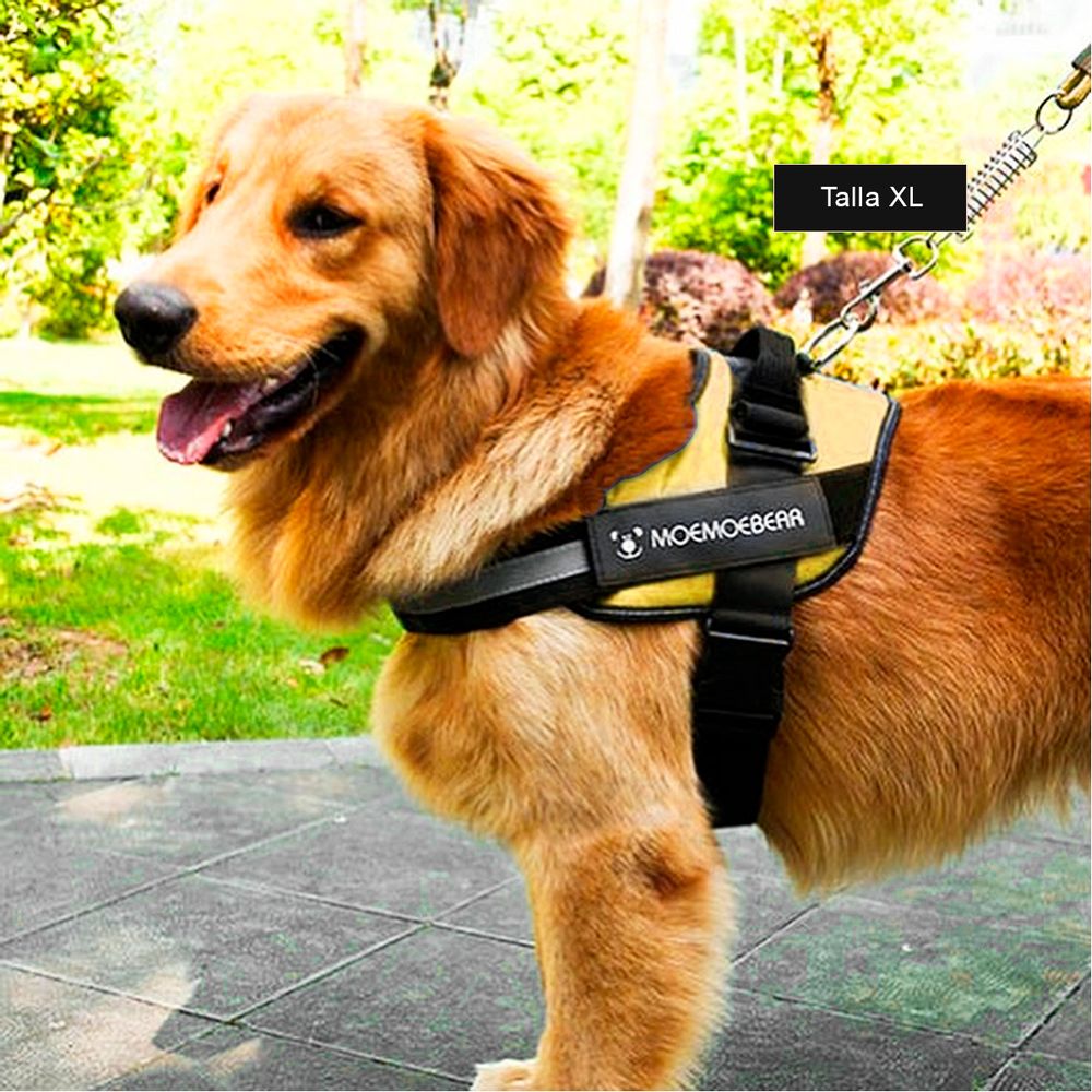 imageUrl_2 imageUrl_2