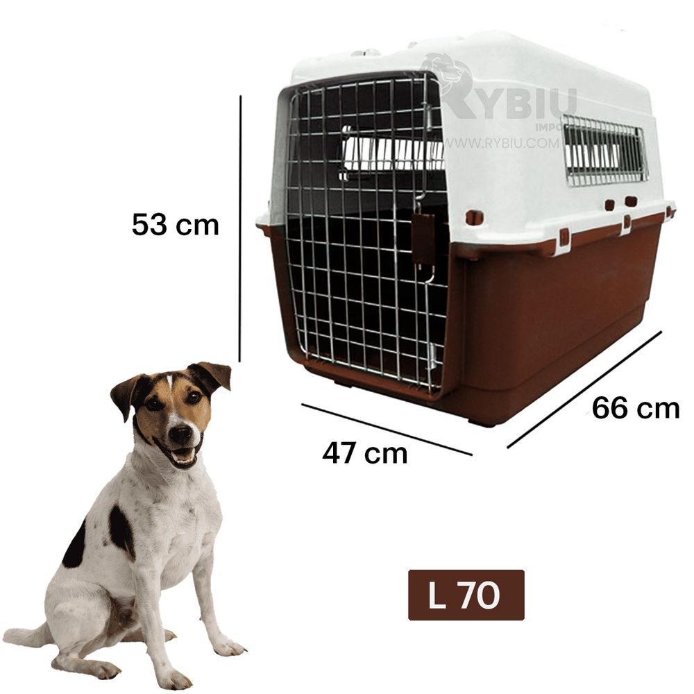 imageUrl_2 imageUrl_2