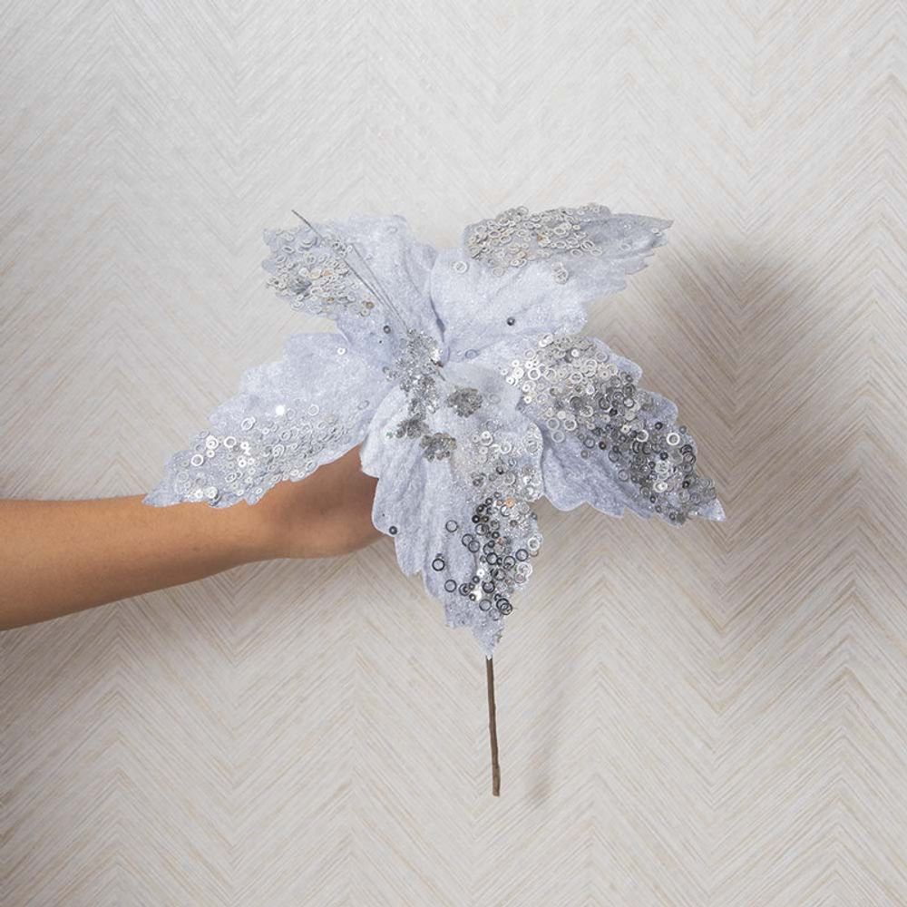 imageUrl_2 imageUrl_2