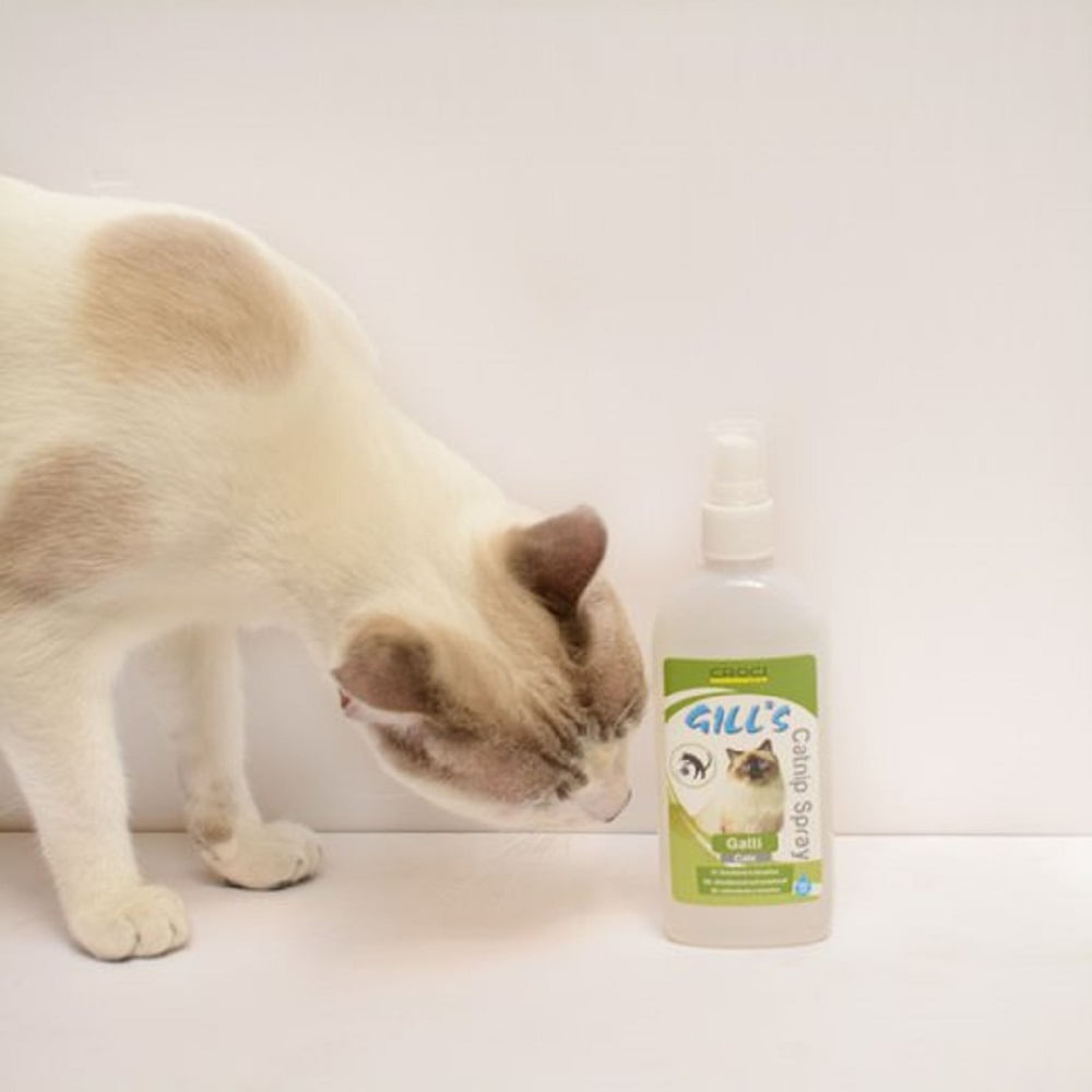 Gill's catnip spray - 150 Ml