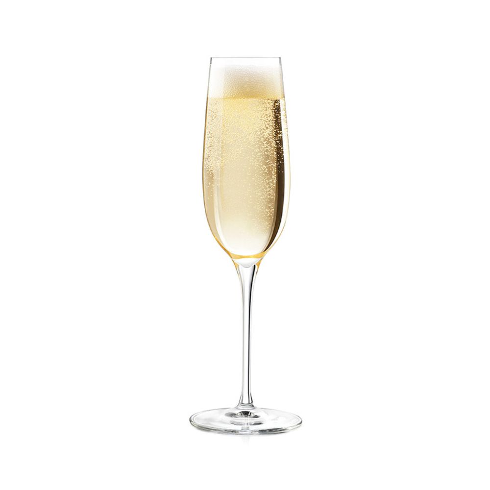 Copa Larga para Champagne Libbey Signature Kentfield 4 Piezas 237 ml / 8 oz