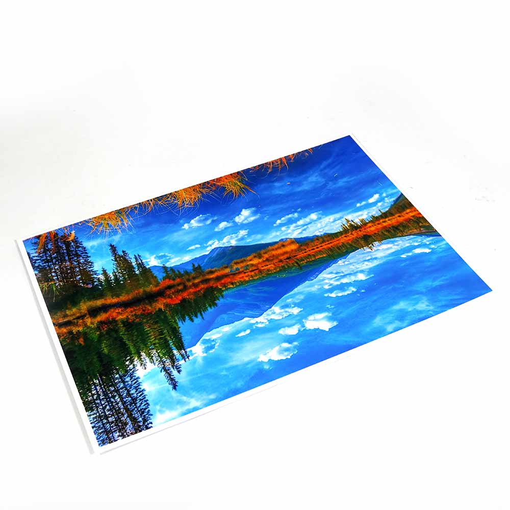 imageUrl_1 imageUrl_1