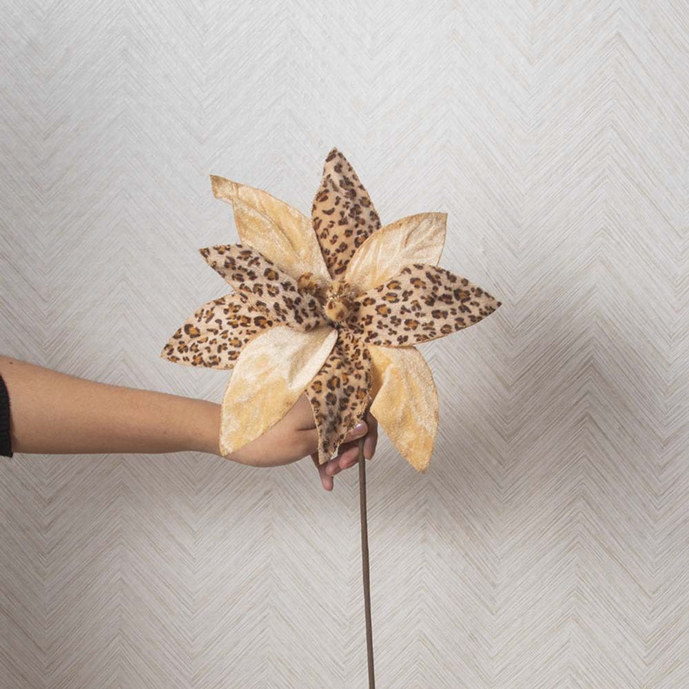 imageUrl_2 imageUrl_2