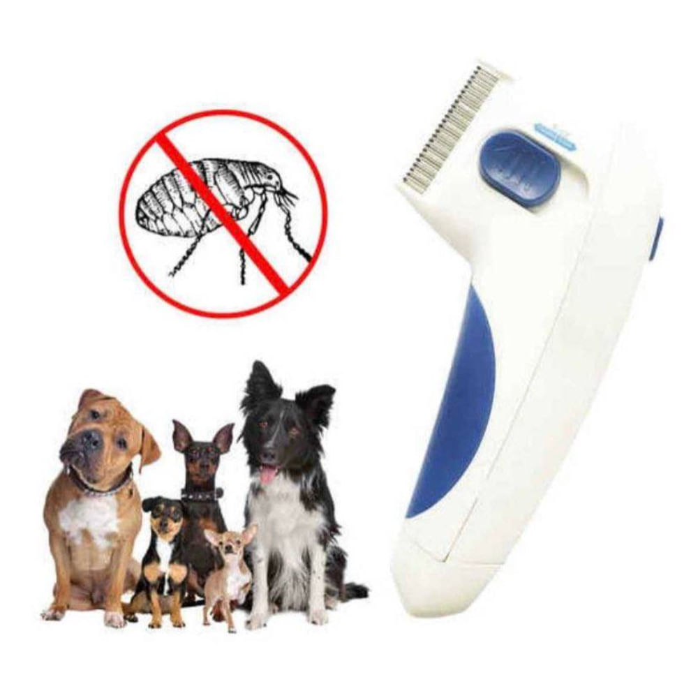 imageUrl_2 imageUrl_2