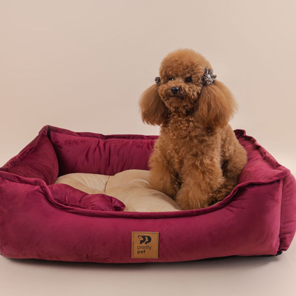 Cama para Mascota Pretty Pet Vino con Beige Talla  4