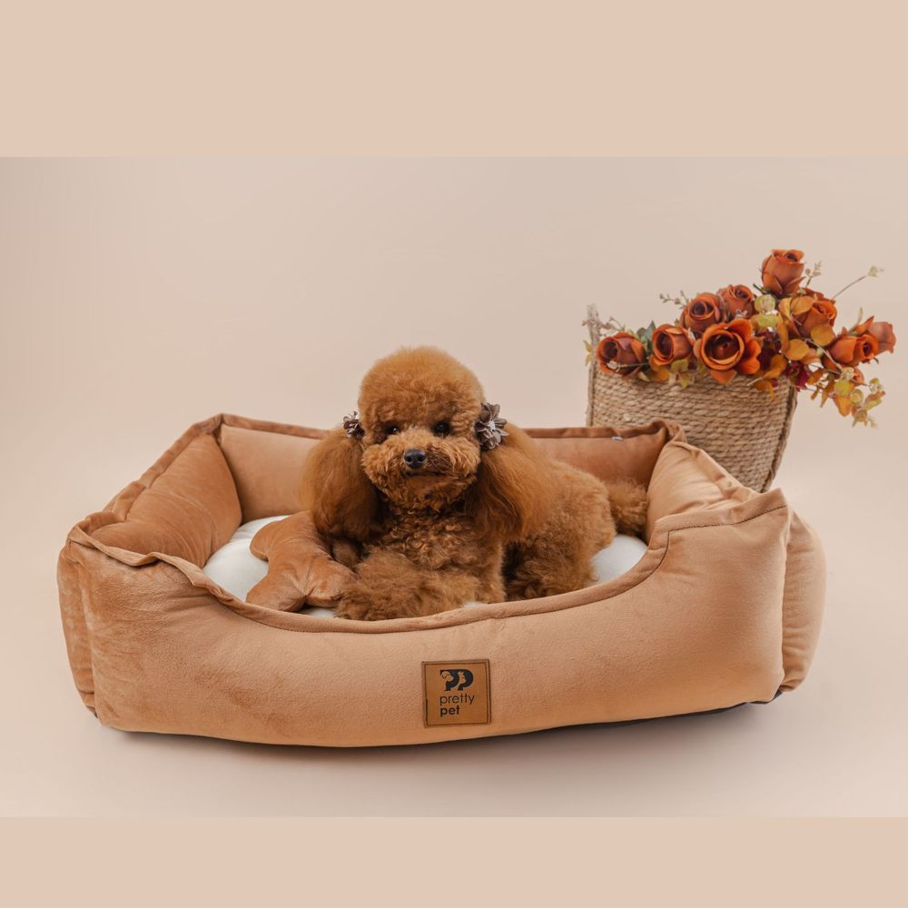 Cama para Mascota Pretty Pet Camello con Perla Talla 4