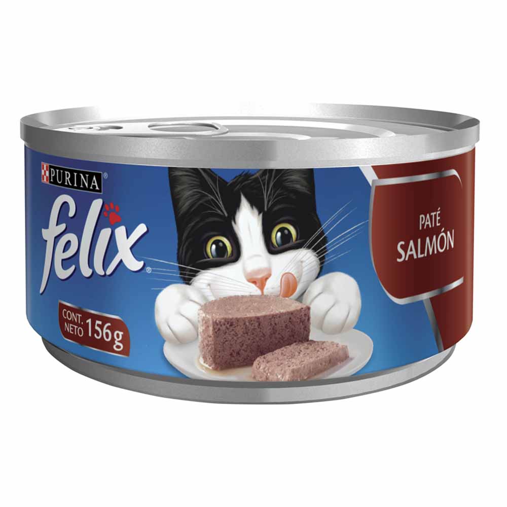 image-659e81b439794665a0cf6c70bcece4c2 image-659e81b439794665a0cf6c70bcece4c2