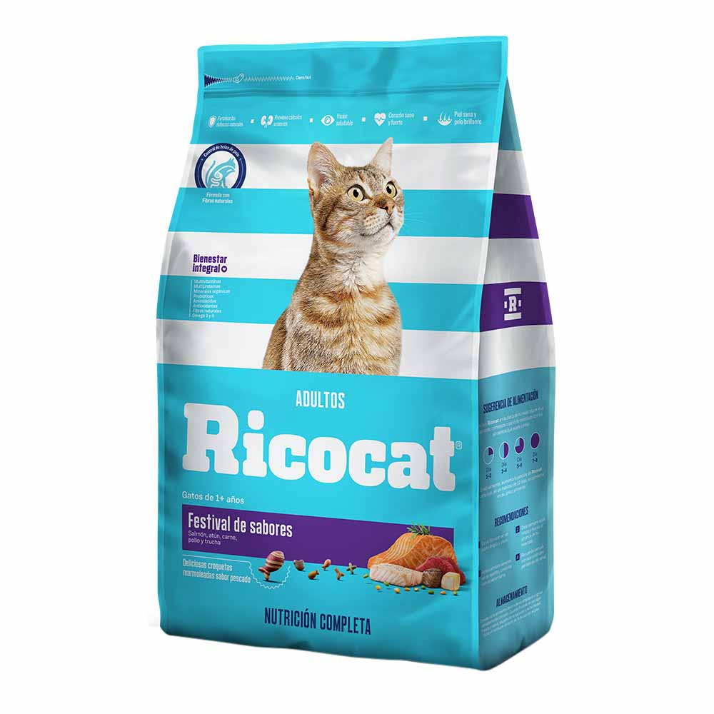 image-cfa0bb00c10741329b876bed95515b22 image-cfa0bb00c10741329b876bed95515b22