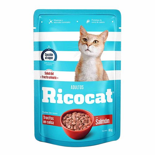 costo del bloqueo urinario del gato