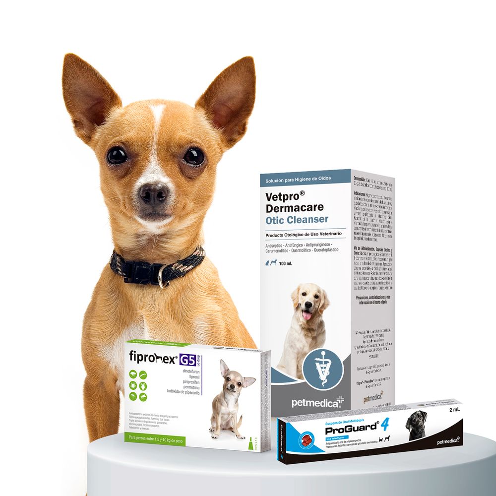 Ahuyentador electrónico contra pulgas y garrapatas para perros. — ICA S.A.