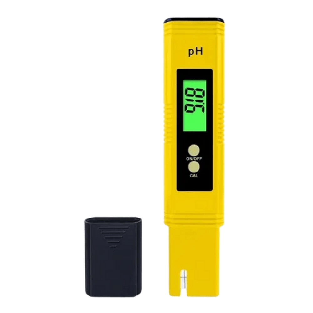 image-b9e687a886674557a5fe778952fac8c3 image-b9e687a886674557a5fe778952fac8c3