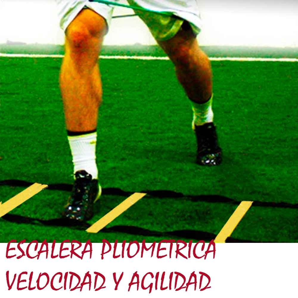 image-eecf40f4b5524218870639e4431d69c8 image-eecf40f4b5524218870639e4431d69c8