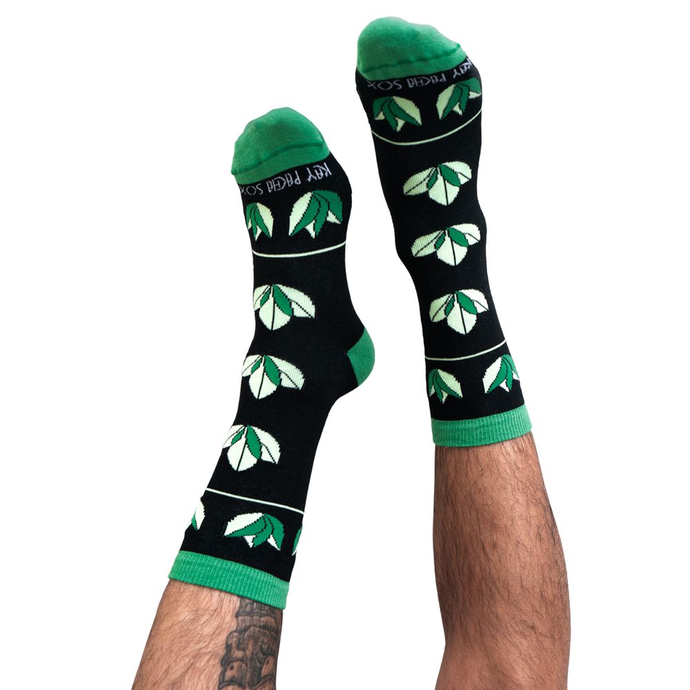 image-a1c151dd43f246f88a853b7afa344b90 image-a1c151dd43f246f88a853b7afa344b90