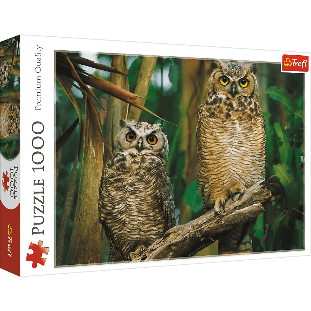 image-29c22281621446129ddf7cccdb6d559c image-29c22281621446129ddf7cccdb6d559c