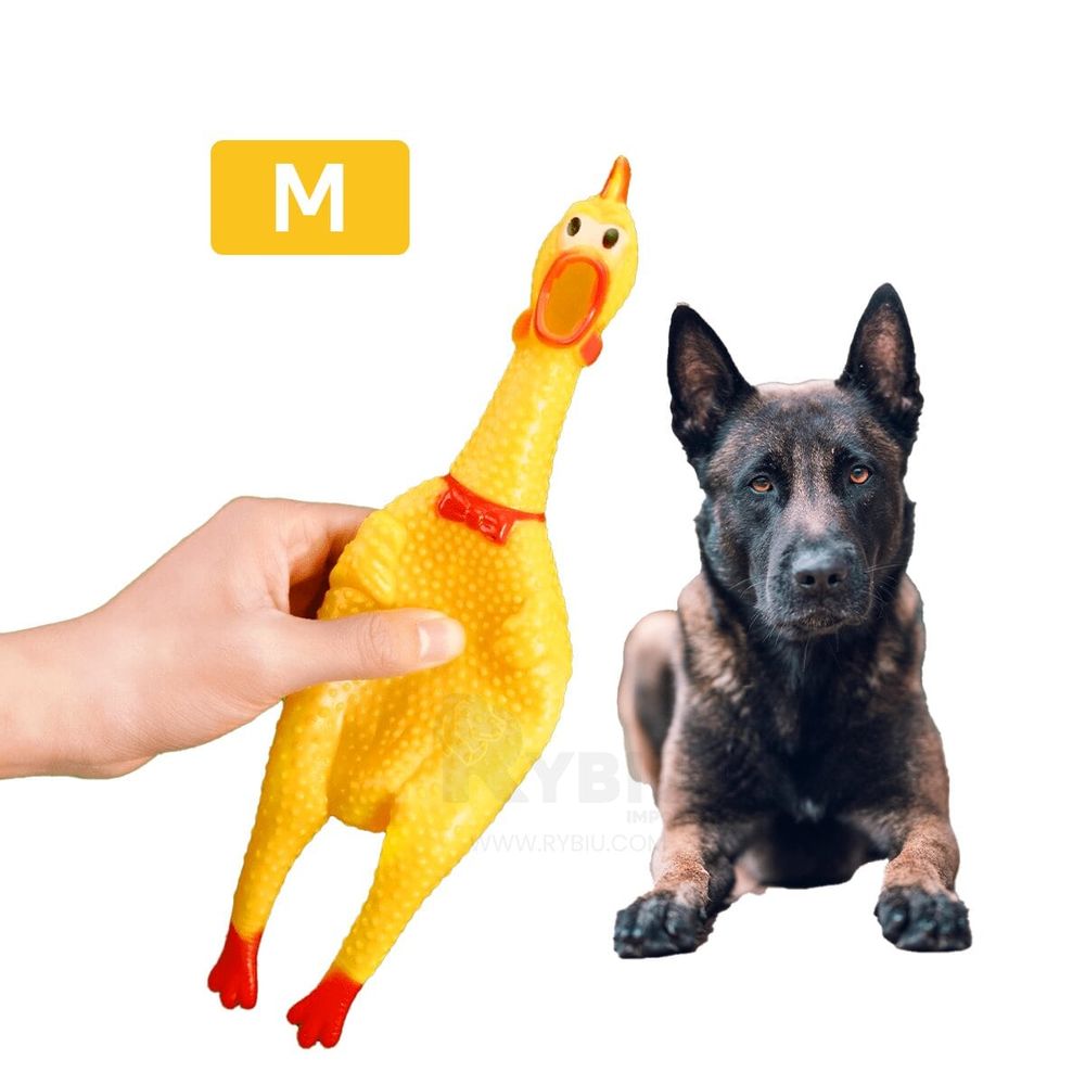 Juguetes para Mascotas y Perros Divertidos Talla M