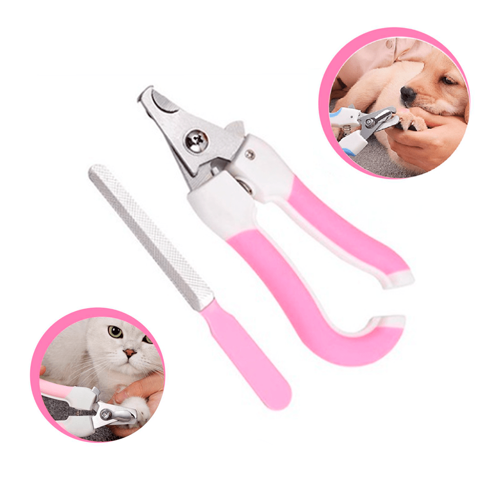 image-0ede435e5bb7422f8809ddfb84b64bf3 image-0ede435e5bb7422f8809ddfb84b64bf3