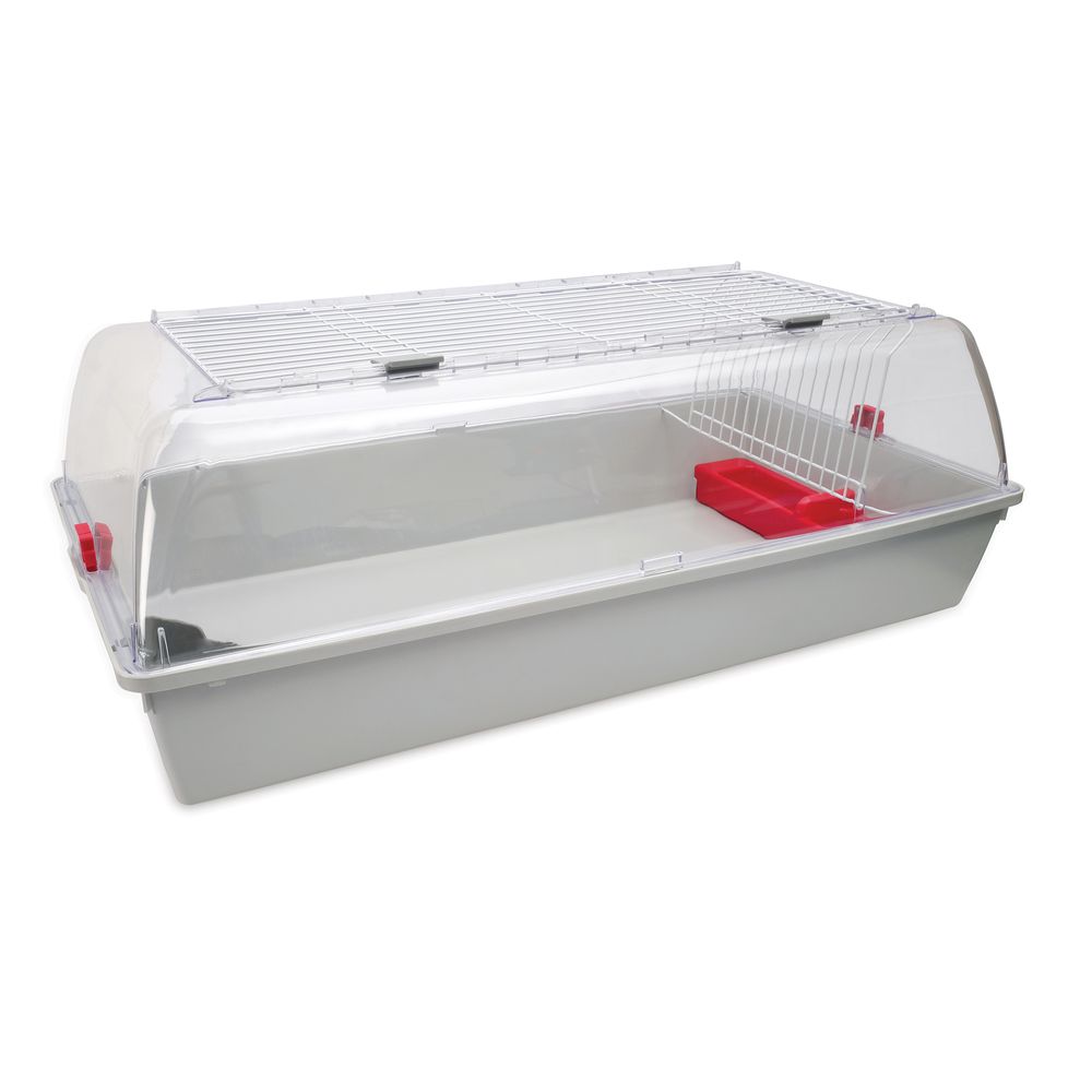 image-a051af38ebec4fc3931b35adca97fb6d image-a051af38ebec4fc3931b35adca97fb6d