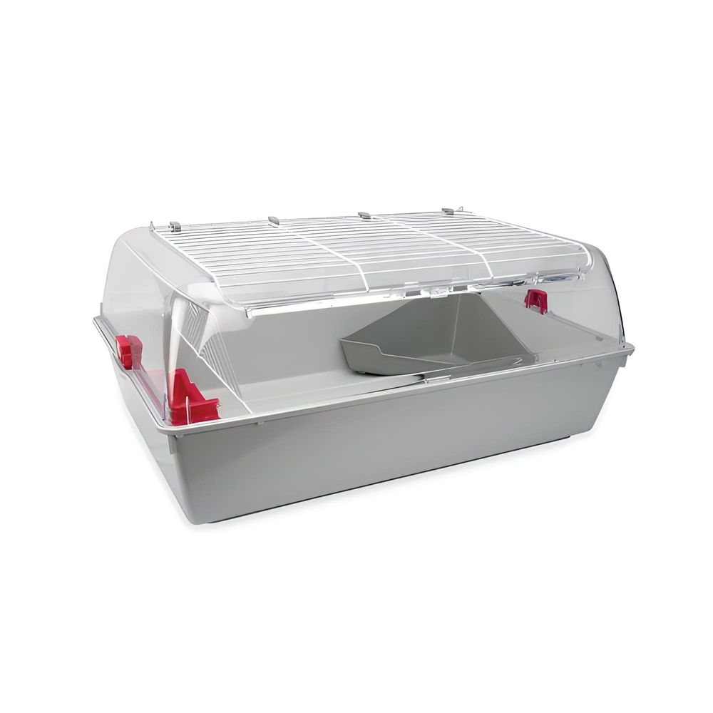 image-b53eff4ce20042ad928553ac839d9d47 image-b53eff4ce20042ad928553ac839d9d47