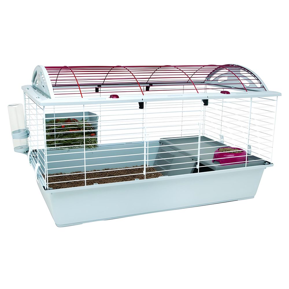 image-5c06517370c44fed870495e556dfa7f8 image-5c06517370c44fed870495e556dfa7f8