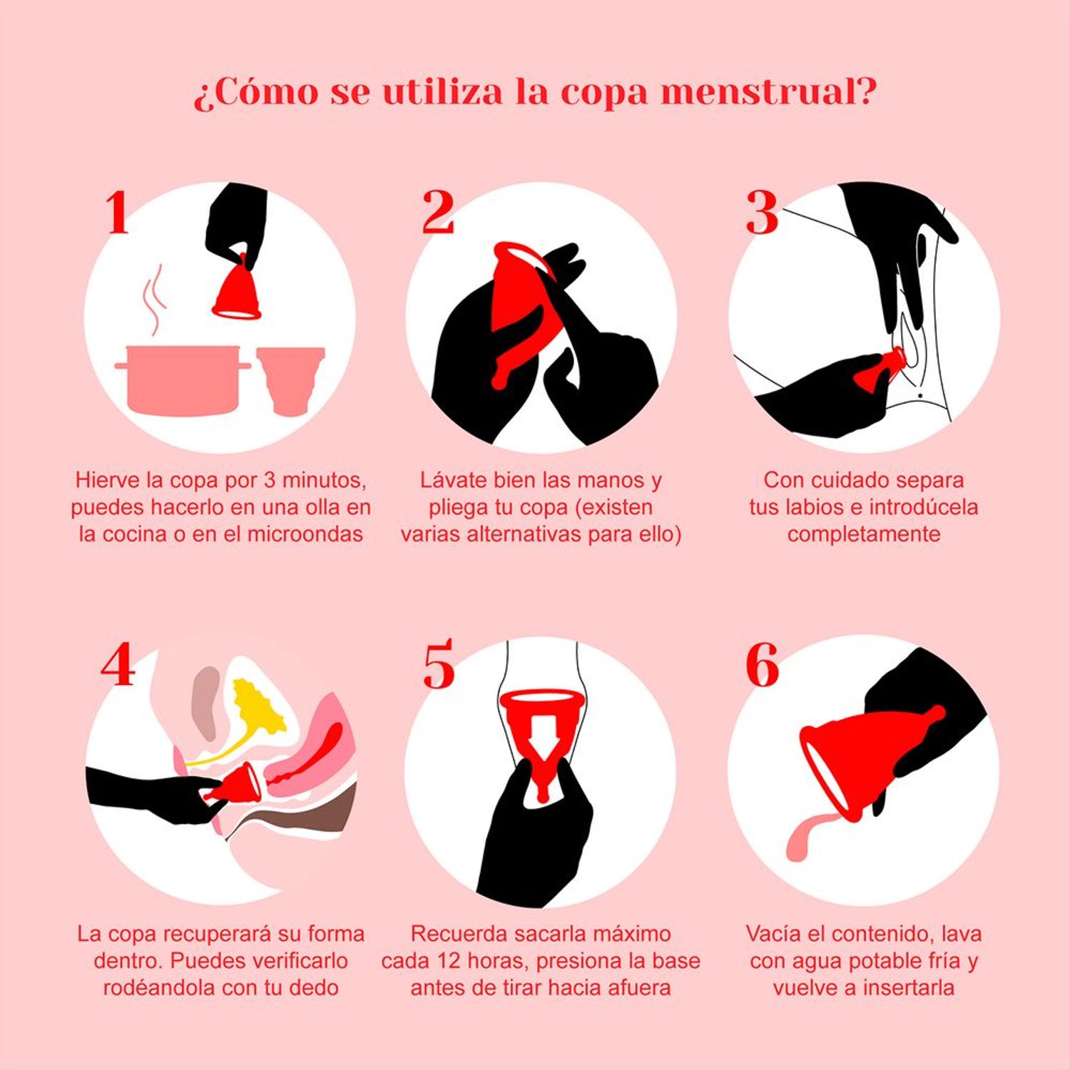 Copa Menstrual Lunacup Talla G Oechsle Oechsle