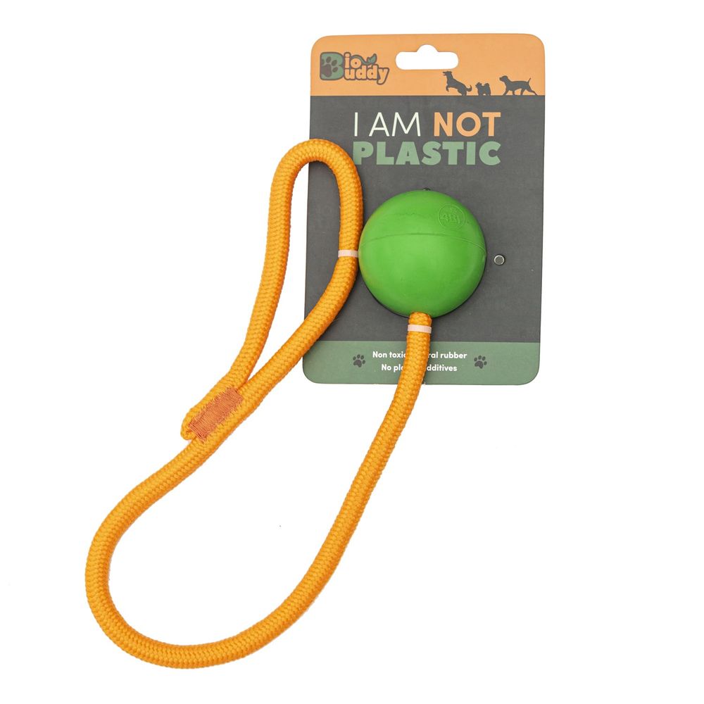 image-5c9916badf8f4ed28da71cf97da482c7 image-5c9916badf8f4ed28da71cf97da482c7