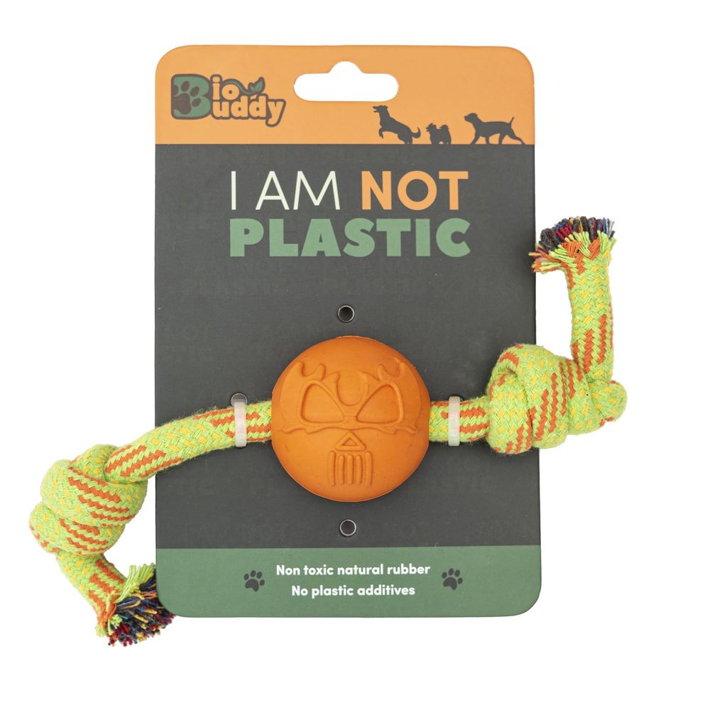 image-839493499b074352a48a9a0c40da7e29 image-839493499b074352a48a9a0c40da7e29