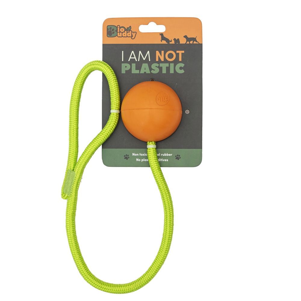 image-61c2ff2ea44a419ead2fdc84f8e741a5 image-61c2ff2ea44a419ead2fdc84f8e741a5