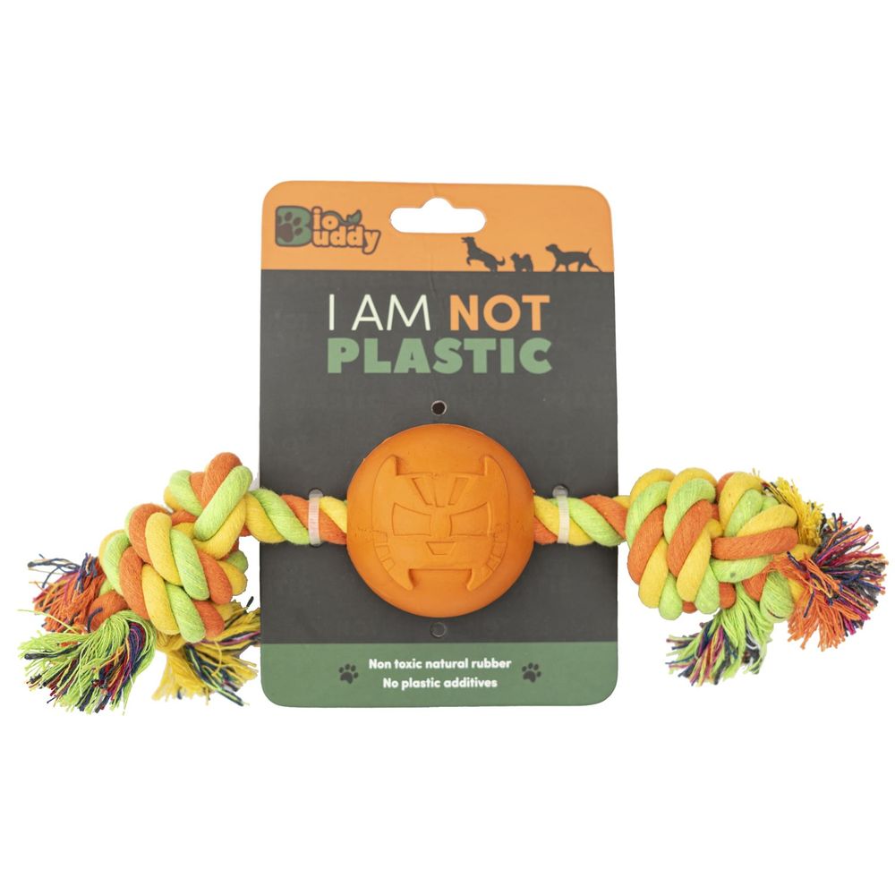 image-e7a6470afd404cb991284cc883e6ce2b image-e7a6470afd404cb991284cc883e6ce2b