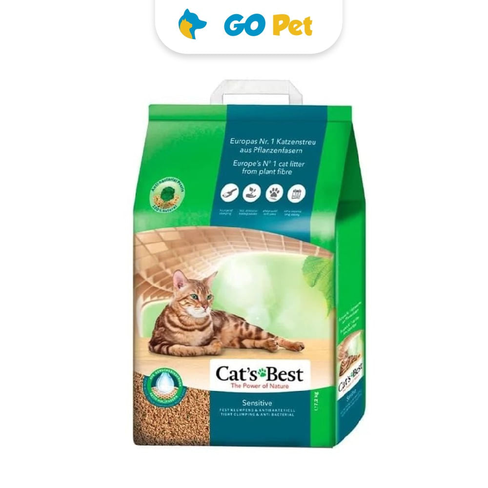 image-c55e81b3a3cc4cc7ad40fa9d938ca109 image-c55e81b3a3cc4cc7ad40fa9d938ca109