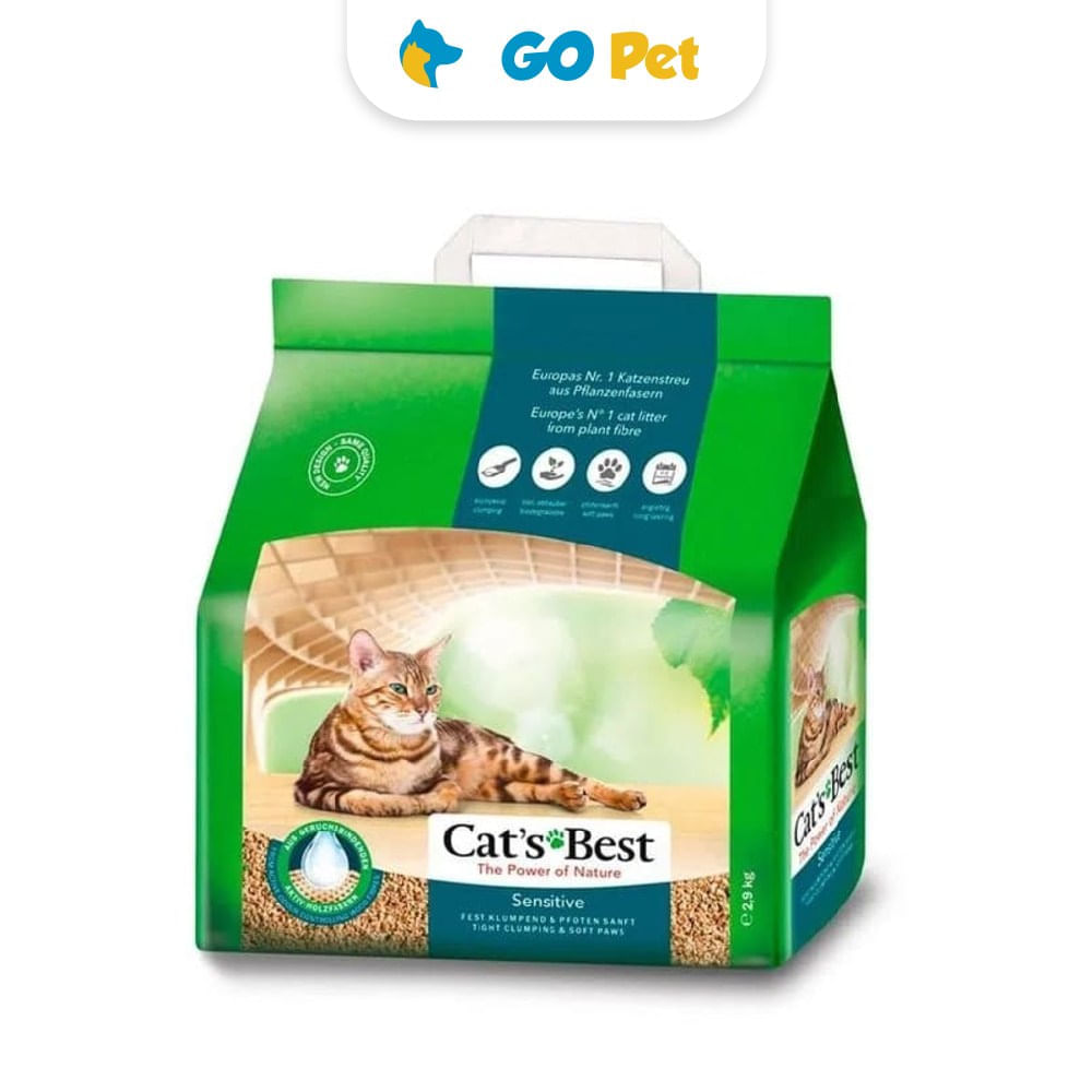 image-005ac1e637464287a1305d8e65312eed image-005ac1e637464287a1305d8e65312eed