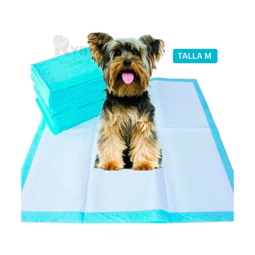 image-1f2ee16d88ec41ee94c2d040532ff3b8 image-1f2ee16d88ec41ee94c2d040532ff3b8