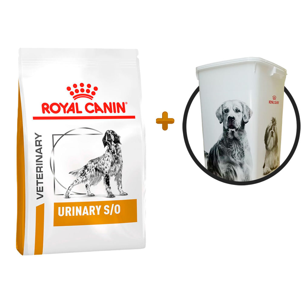 Royal canin 2024 urinary so 13