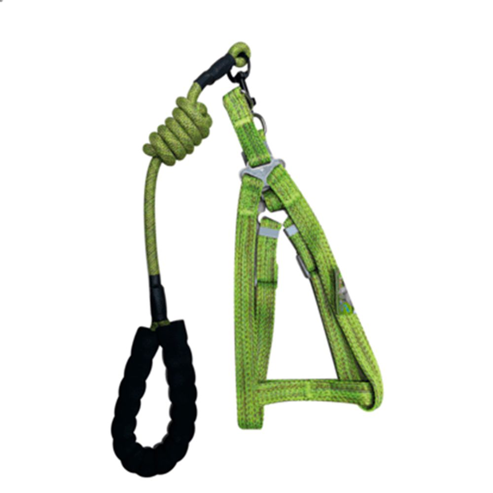 image-b582a51c96ba4dc2bca26eaf2c571e2c image-b582a51c96ba4dc2bca26eaf2c571e2c