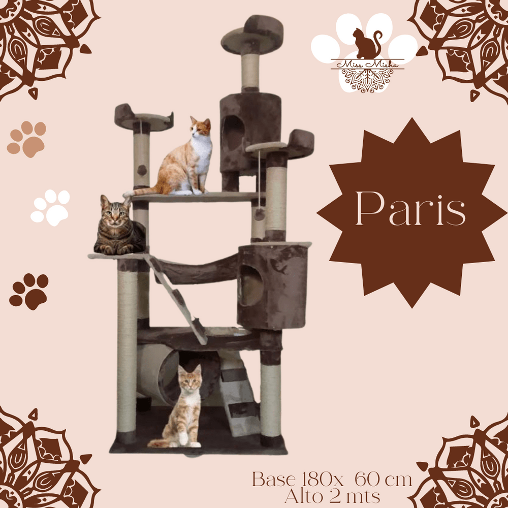 image-bf528328a6b64ba498d942e9f165008f image-bf528328a6b64ba498d942e9f165008f