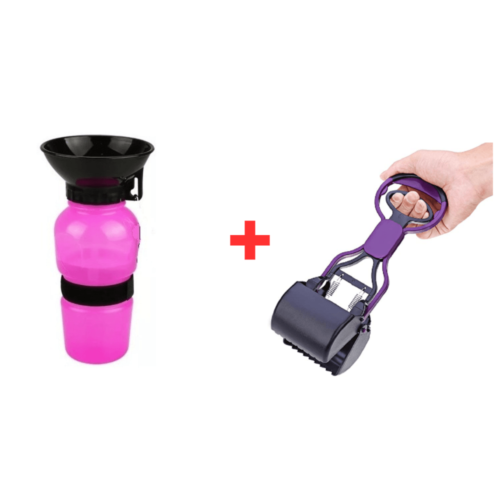 image-77e5ef067d9f42d681a009a2fe1a381a image-77e5ef067d9f42d681a009a2fe1a381a