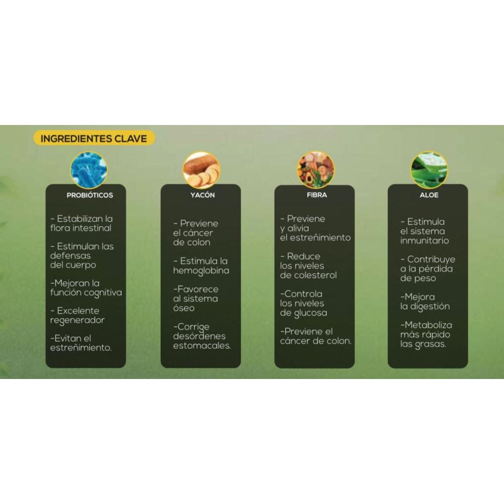 Probiotic Restaurador de la Flora Intestinal Oechsle