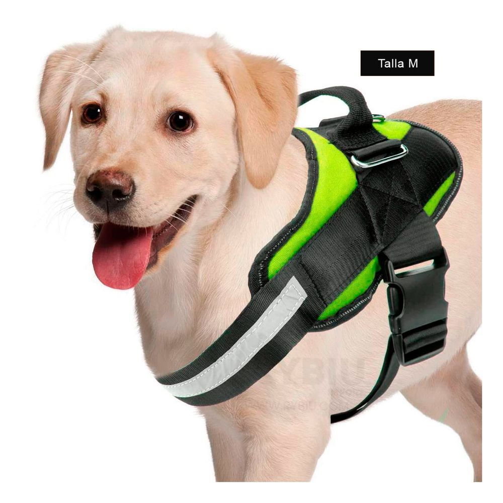 Granteva best sale dog harness