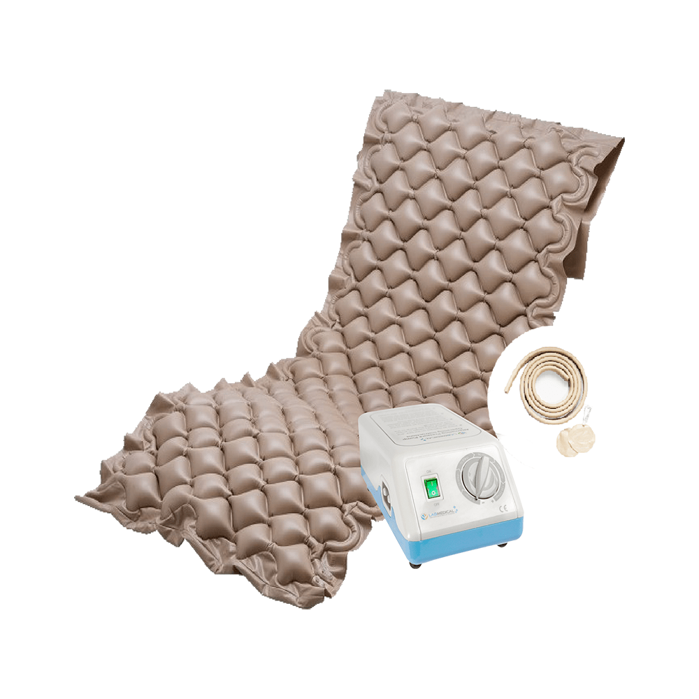 image-731bf944d3c3425f925dced708a17fc8 image-731bf944d3c3425f925dced708a17fc8