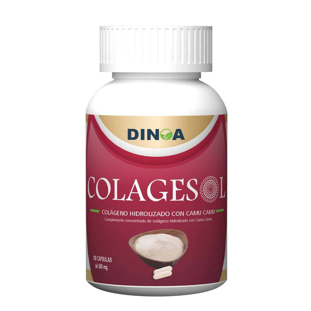 image-02d2191821714006bfd53803625b8354 image-02d2191821714006bfd53803625b8354