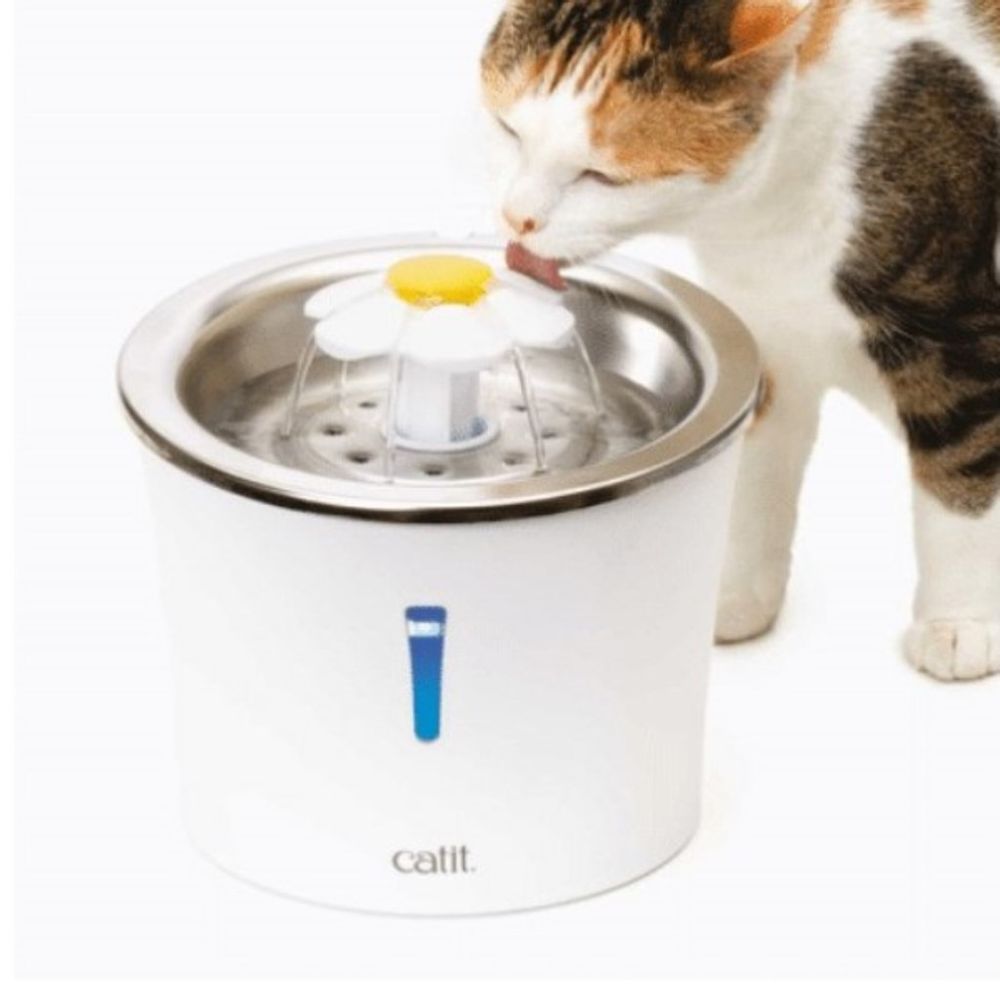 image-12f16d4557b1452990e25f29a32c0228 image-12f16d4557b1452990e25f29a32c0228