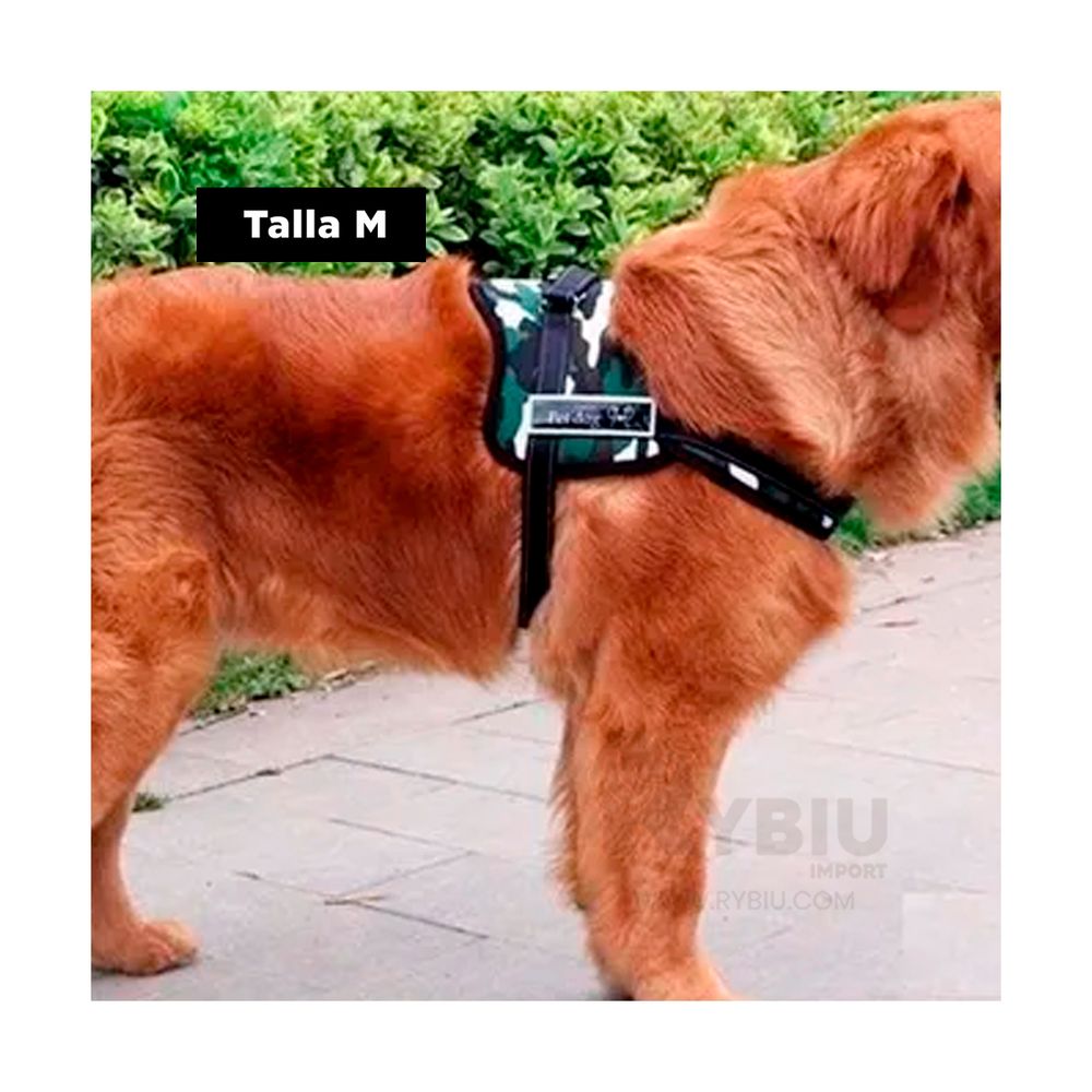 Pechera Arnes para Perro Modelo Ejercito Claro M I Oechsle - Oechsle