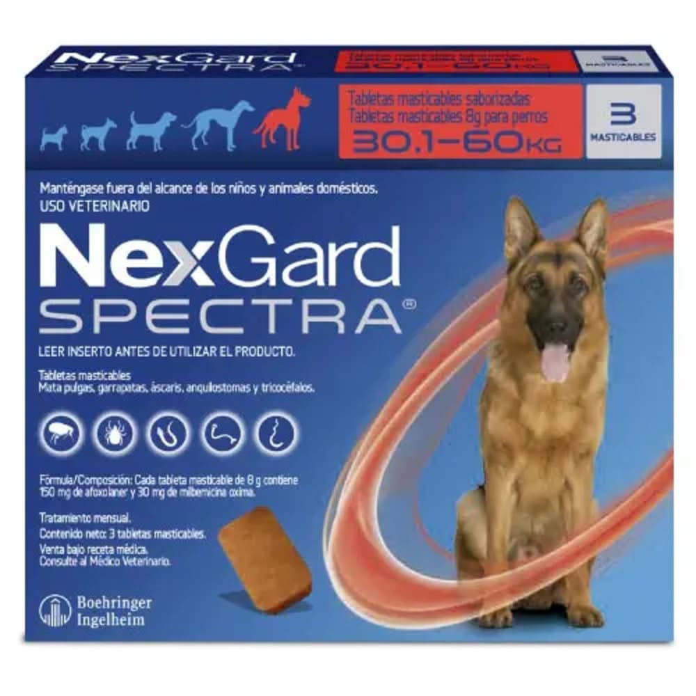 image-1ea620cdbd3d4ac191953bd282e531b9 image-1ea620cdbd3d4ac191953bd282e531b9