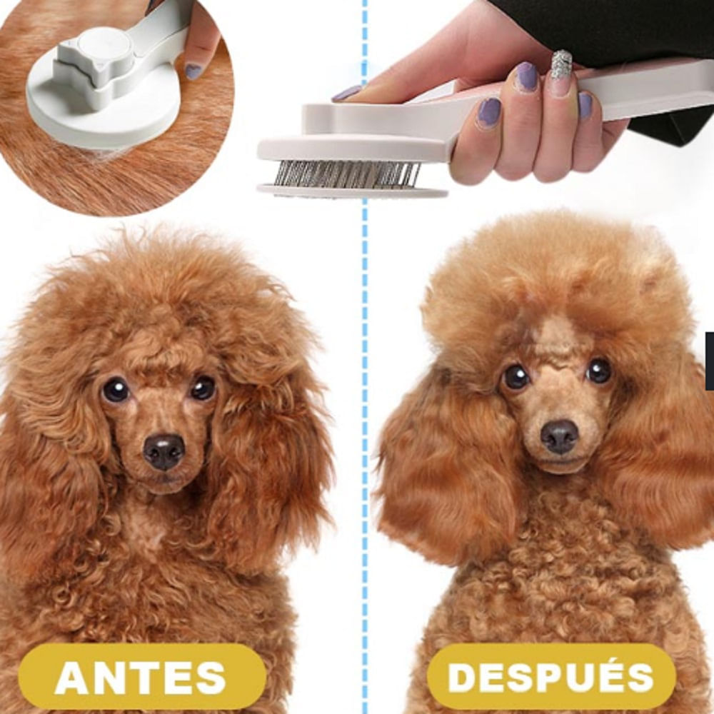 image-63404abbf3654dd3b7fa9193352b166e image-63404abbf3654dd3b7fa9193352b166e